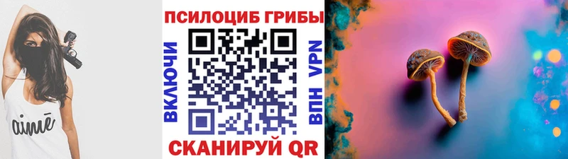 Псилоцибиновые грибы Magic Shrooms  Арск 